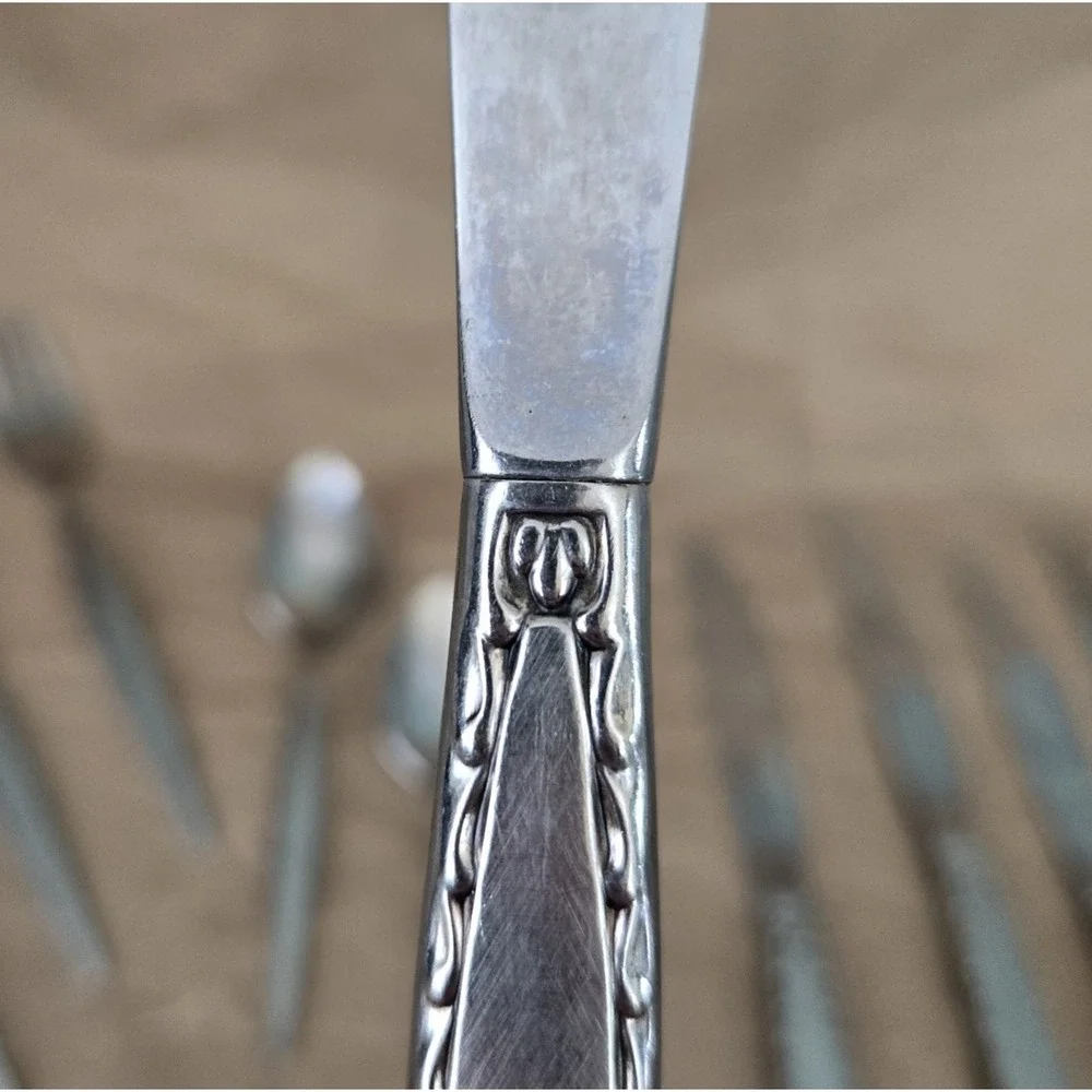 Oneida Community VENETIA Stainless Steel Burnished Finish‎ Flatware 15 Pieces